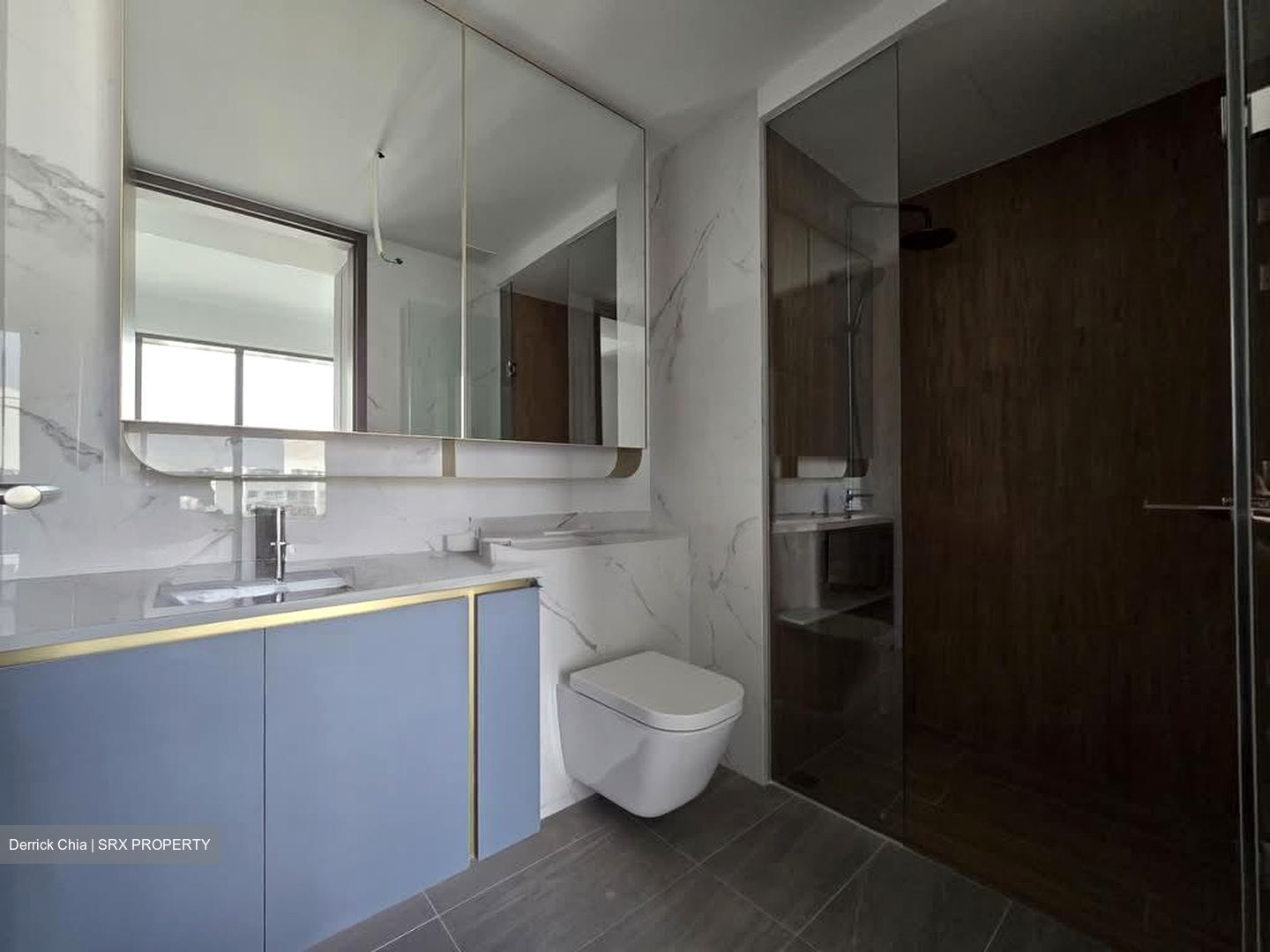 Amo Residence (D20), Apartment #579266201